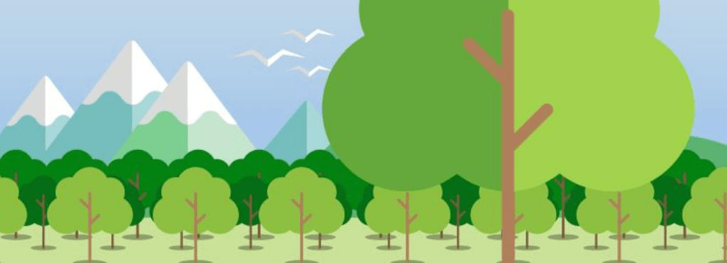 Comune di Fano: Riforestazione urbana, l’avvio per la realizzazione di un piano del verde